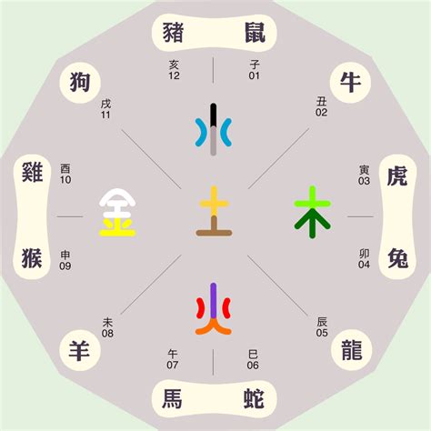 晞五行|晞字的五行是什么,晞的五行属性及吉利寓意